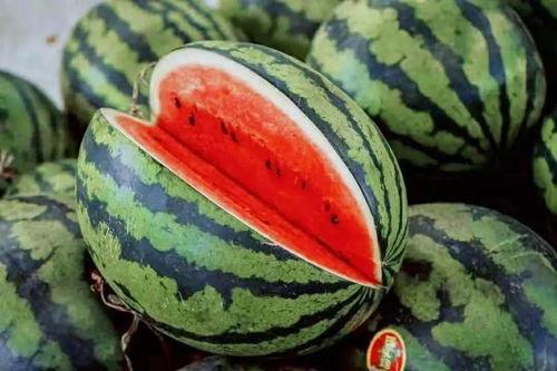 近日金寨吃瓜,揭秘背后真相与网络舆论风暴