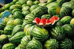 红瓜吃红瓜,红瓜吃红瓜的奇妙之旅