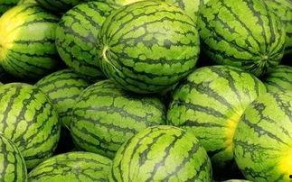 吃瓜网今日吃瓜,揭秘娱乐圈最新热点事件