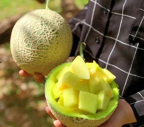 吃瓜影圈,吃瓜群众眼中的明星幕后故事