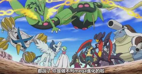 神兽阿蛋吃瓜,神兽阿蛋的瓜田奇遇记