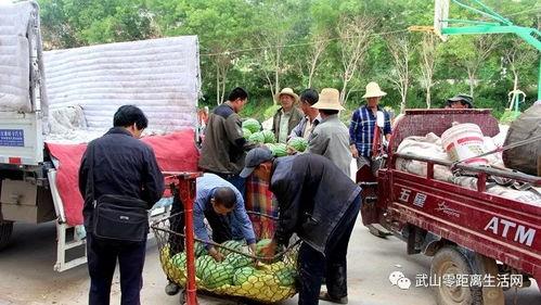 成都疫情吃瓜群众,吃瓜群众视角下的实时动态与热议