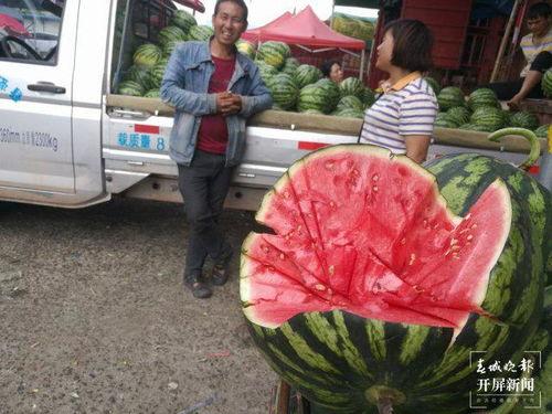 成都疫情吃瓜群众,吃瓜群众视角下的实时动态与热议