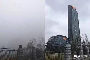 大厦吃瓜,揭秘吃瓜群众的围观力量