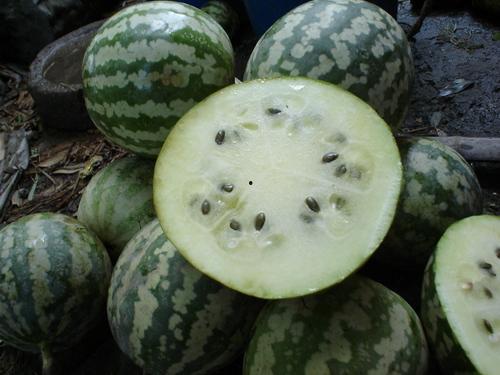 红皮金宝瓜怎么吃,红皮金宝瓜的多样食法探索