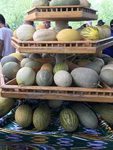 观前街吃瓜,热闹非凡的吃瓜现场，揭秘街头美食文化