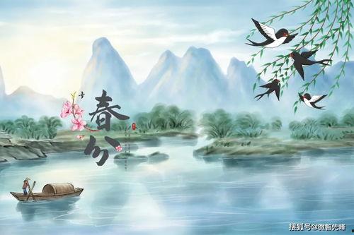 苏幕遮带你吃瓜,苏幕遮带你领略瓜界盛宴