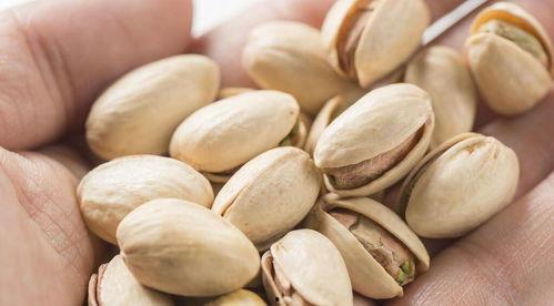 老人吃的黑面瓜,老年人的健康守护神