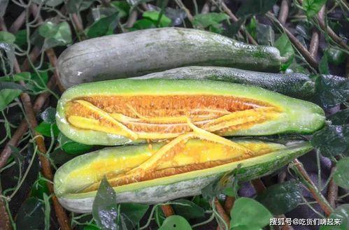 临沂网红团队吃瓜,趣味横生幕后花絮大揭秘