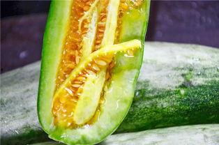 临沂网红团队吃瓜,趣味横生幕后花絮大揭秘