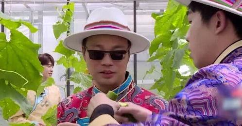 极限挑战吃巴楚瓜,欢乐时光里的美食之旅