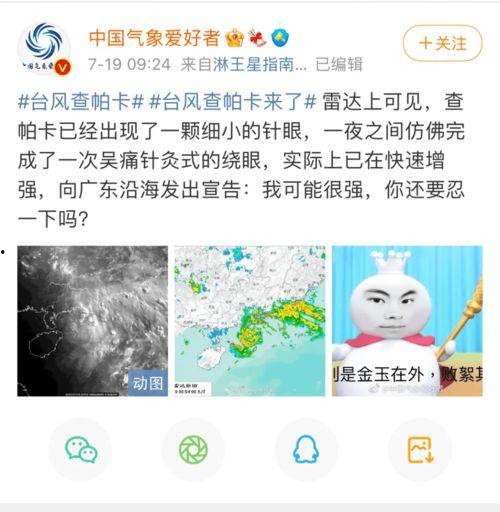 吃瓜头像封面高清