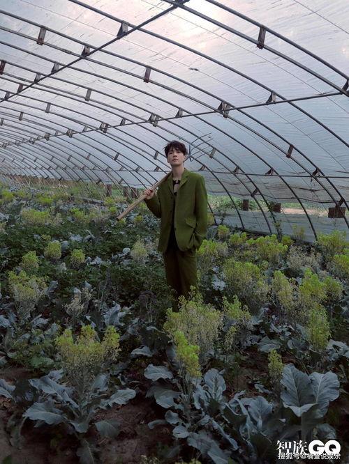 吃瓜头像封面高清