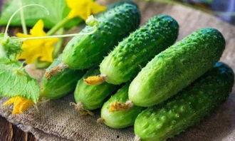 打药多久可以吃瓜,打药后多久可安心享用瓜果美味？