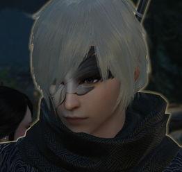 校长吃瓜逆水寒,揭秘校园风云背后的真相