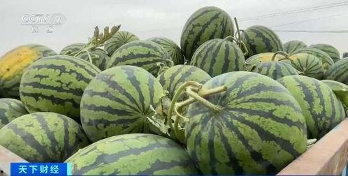 同城吃瓜,揭秘身边的热辣事件与幕后真相