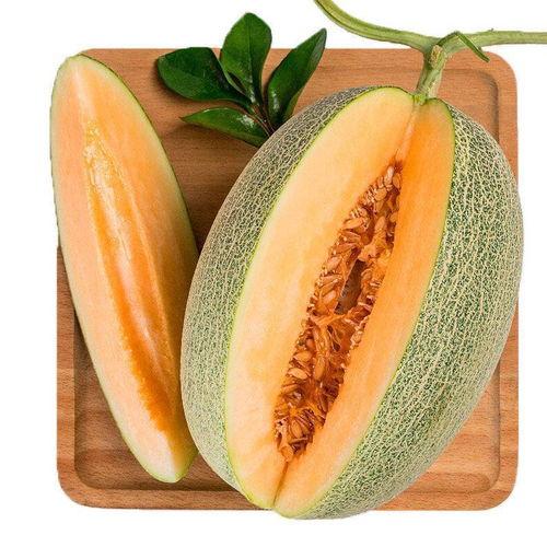 网纹蜜瓜送吃瓜神器,夏日清凉新体验