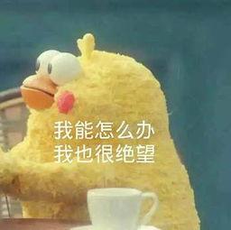 吃瓜兄弟可爱头像,吃瓜兄弟可爱头像背后的温馨故事
