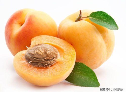 梦见吃杏子和小瓜