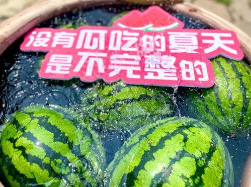 吃瓜去哪里集合,揭秘热门事件现场