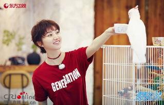 王源吃瓜姑,揭秘娱乐圈背后的真相