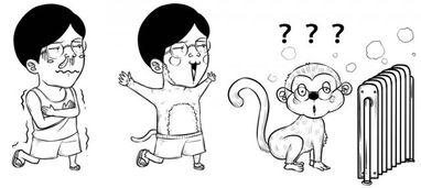 南依吃瓜人物关系,揭秘娱乐圈的复杂人物关系