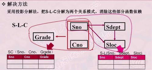 南依吃瓜人物关系,揭秘娱乐圈的复杂人物关系