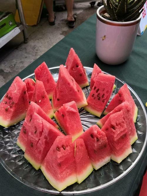 兰州吃瓜比赛,吃瓜比赛狂欢，瓜香四溢挑战极限