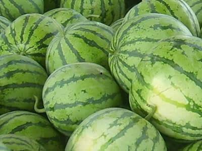 给甜崽吃瓜,欢乐无限，亲子时光的美好瞬间