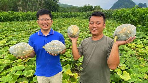 来宾兴宾区吃瓜事件,一场引发热议的网络狂欢