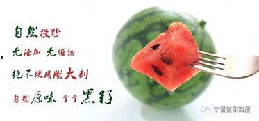 宁晋吃瓜视频,揭秘网络热点背后的故事