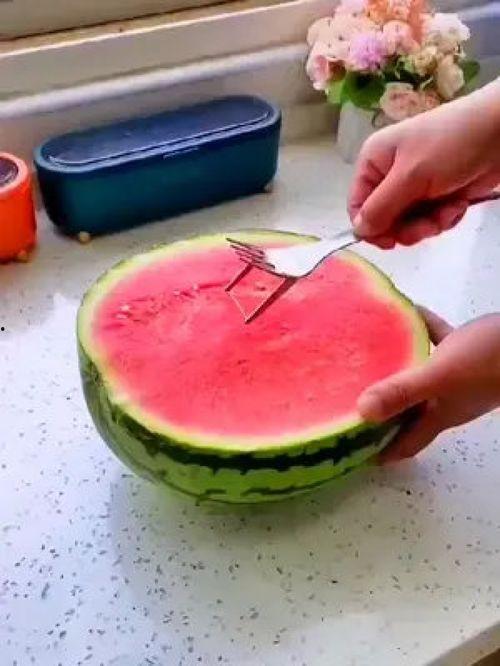 追花吃瓜,探寻春日里的浪漫与趣味