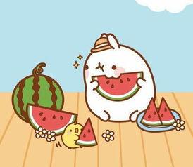 吃瓜群众在线教学,趣味互动，轻松学习新风尚