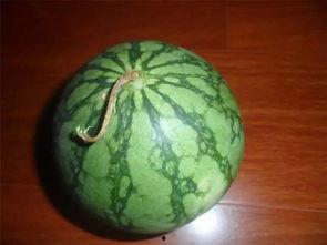 付瓜老了怎么吃