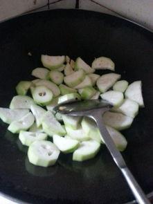 什么虫吃蒲瓜好,揭秘哪些虫子喜食蒲瓜