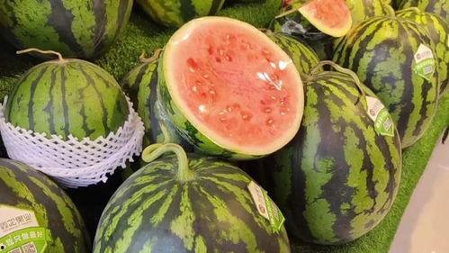 什么天天吃瓜,跟随“天天吃瓜”探寻明星幕后故事