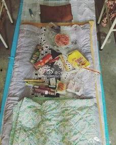 吃瓜打地铺,揭秘夏日纳凉新潮流