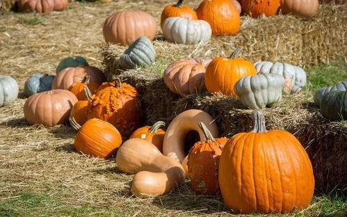 中金吃瓜,一场金融圈的“瓜田李下”