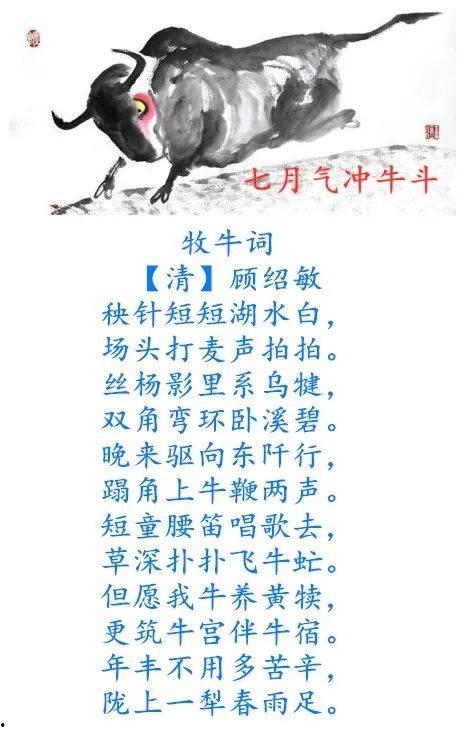 牛歌带你吃瓜,揭秘美食背后的故事