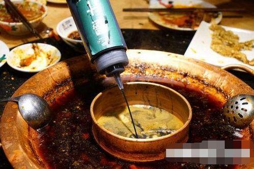 吃瓜泵墨汁,吃瓜泵开启揭秘之旅