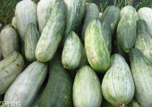 吃酥瓜想吐,揭秘美食与不适的微妙关系