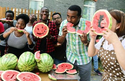 药店吃瓜,揭秘日常生活中的小确幸