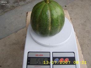 青皮园瓜怎么吃,青皮园瓜的多样食法探索