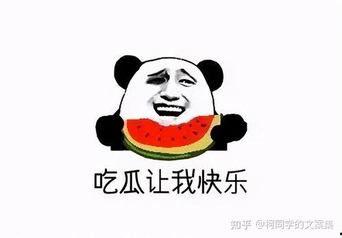 快乐吃瓜文案短句搞笑,吃瓜群众欢乐盛宴