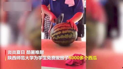 大学吃瓜视频链接,吃瓜视频带你领略校园风采