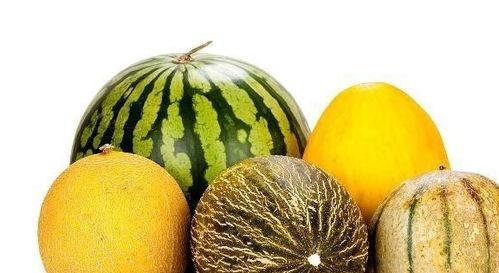 吃死瓜有什么好处吗,吃死瓜的神奇益处揭秘