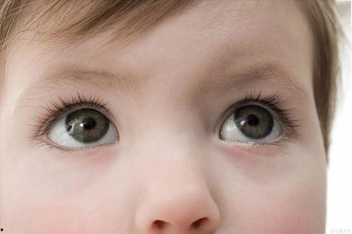 炸裂洗眼睛吃瓜,揭秘网络热词背后的文化现象