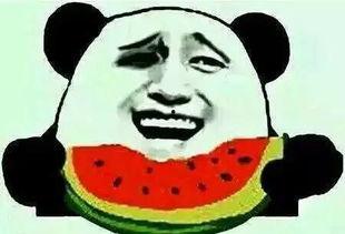 小黄化身吃瓜,揭秘娱乐圈幕后风云