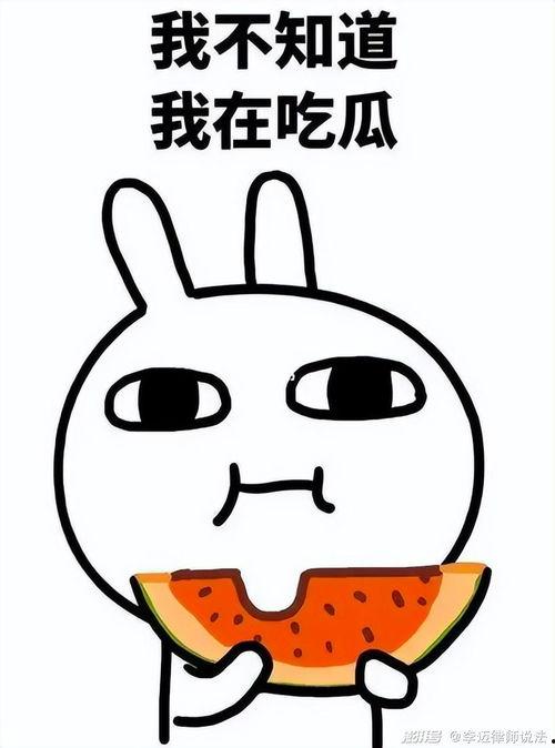 q q 吃瓜合集,盘点娱乐圈那些年我们追过的热点事件