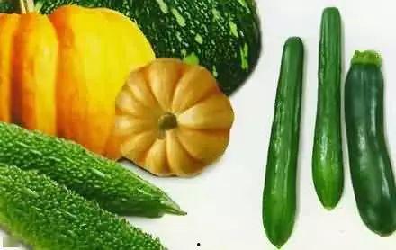 二高中吃瓜图,揭秘校园里的那些“瓜”